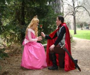 Puzzle Prince αναδιπλούμενο πριν την πριγκίπισσα δίνει ένα τριαντάφυλλο